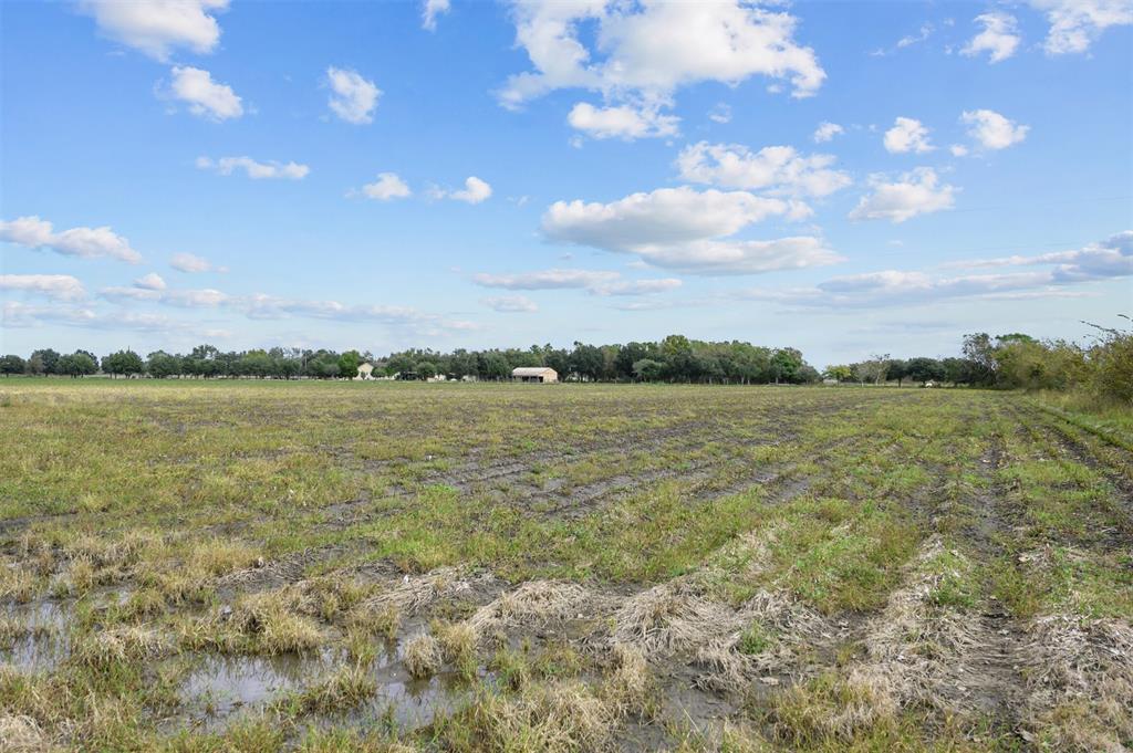 15525 Hurta Road, Needville, Texas image 15