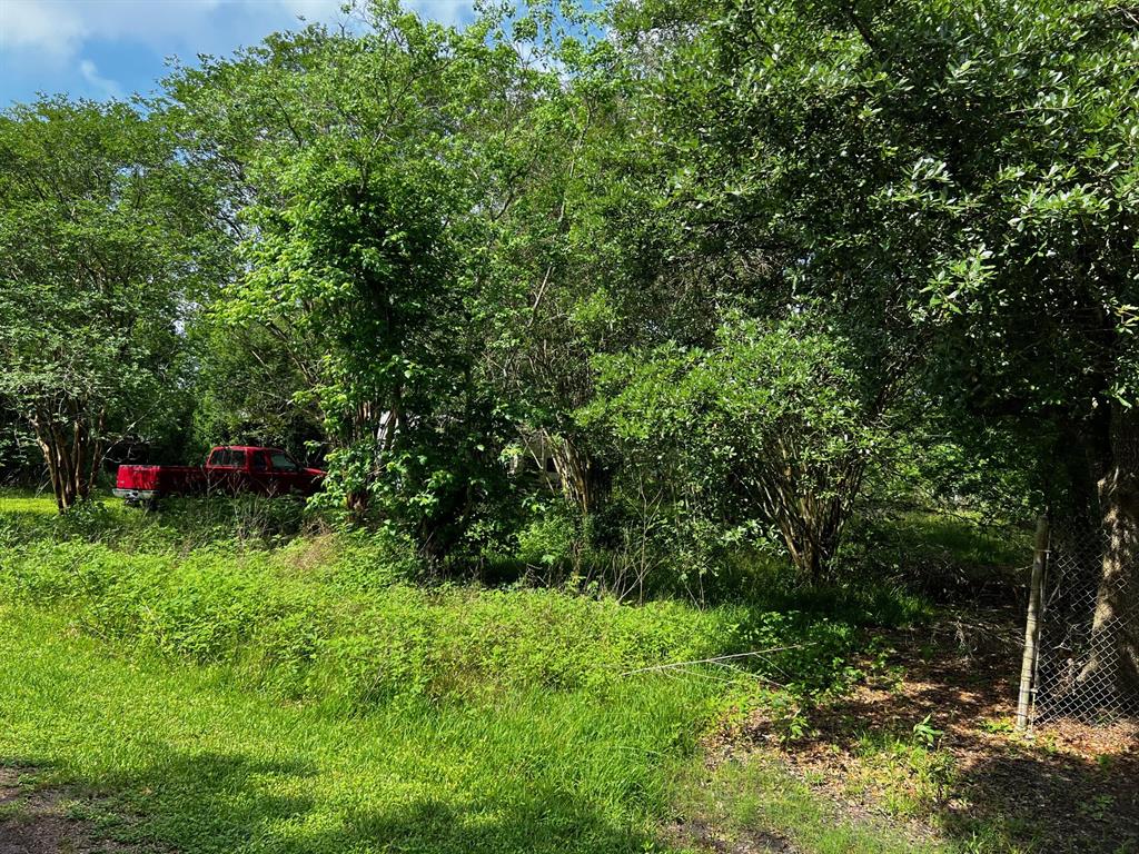 863 County Road 925b, Alvin, Texas image 7