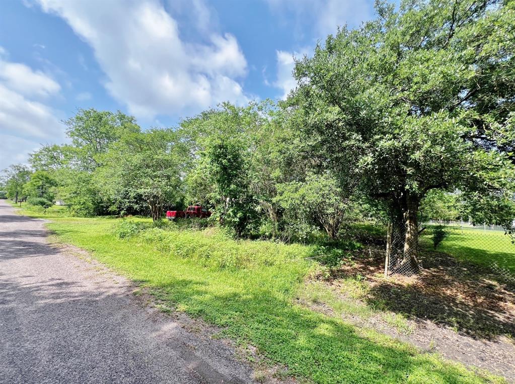 863 County Road 925b, Alvin, Texas image 6