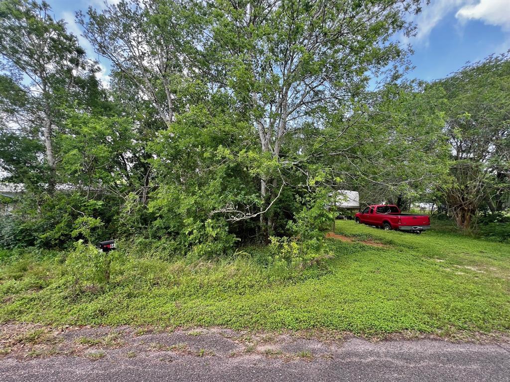 863 County Road 925b, Alvin, Texas image 2