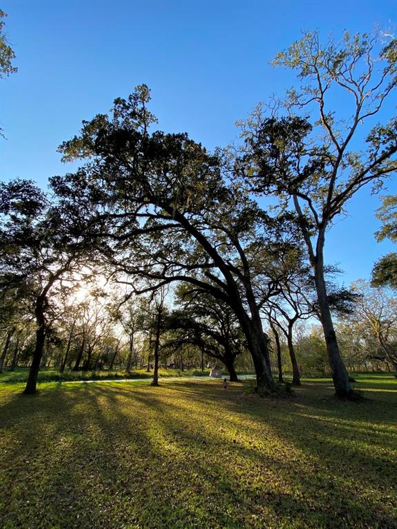 202 Jones Road, Angleton, Texas image 3