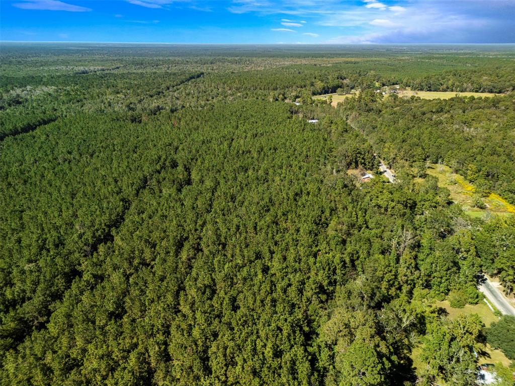 Fm 770, Kountze, Texas image 9