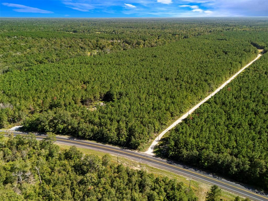 Fm 770, Kountze, Texas image 5