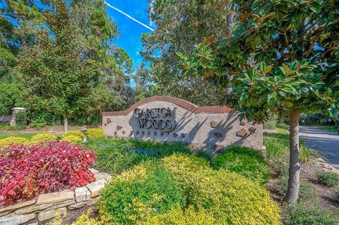 39 Pronghorn Place Spring TX 77389