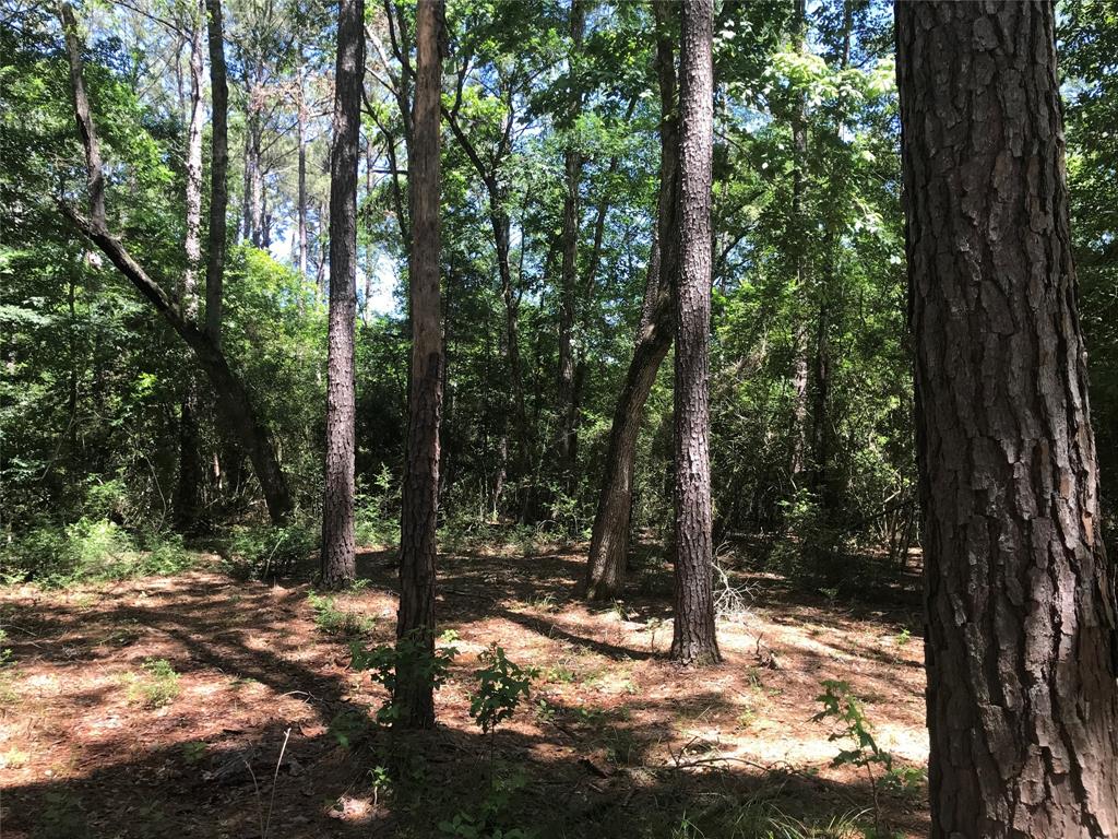 1670 Labrador Lane, Columbus, Texas image 1