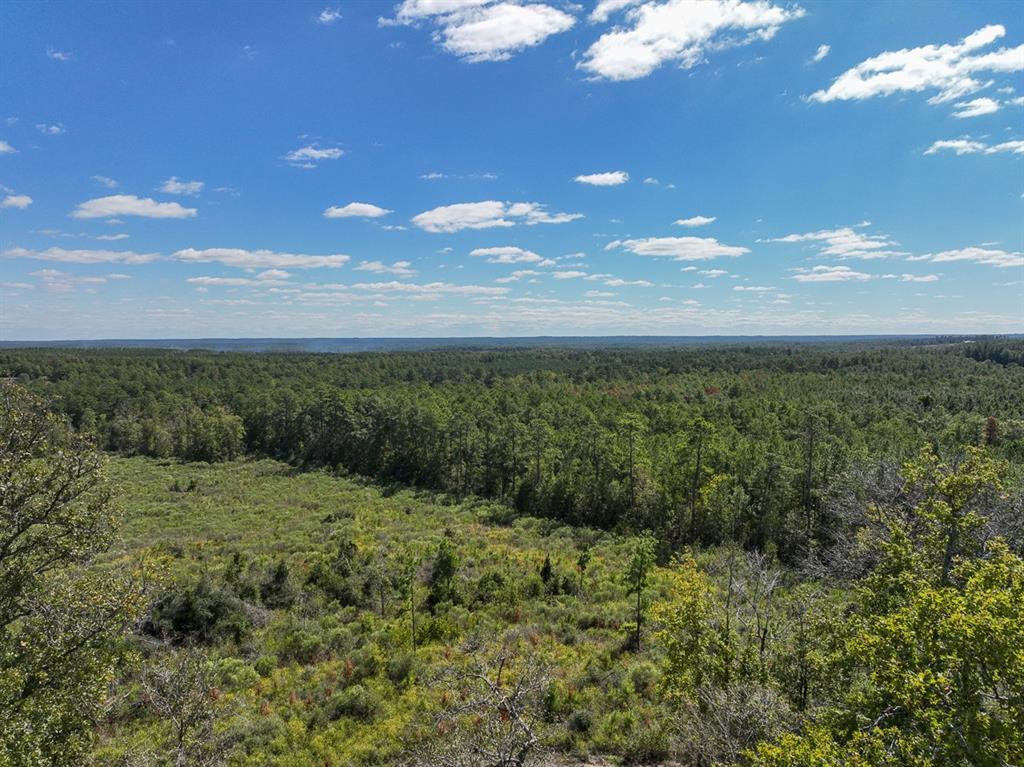 12 Fm 350, Livingston, Texas image 2