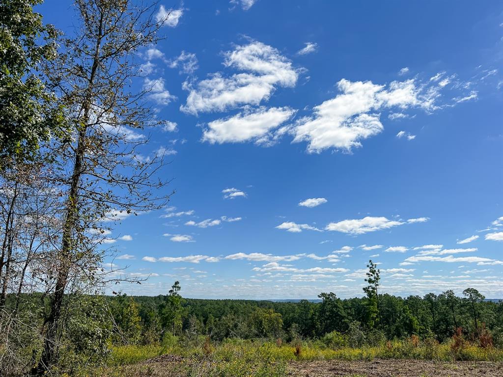 12 Fm 350, Livingston, Texas image 18