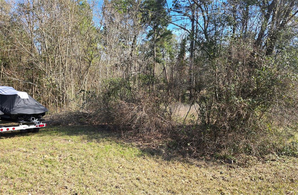 Plum Tree Circle, Livingston, Texas image 1