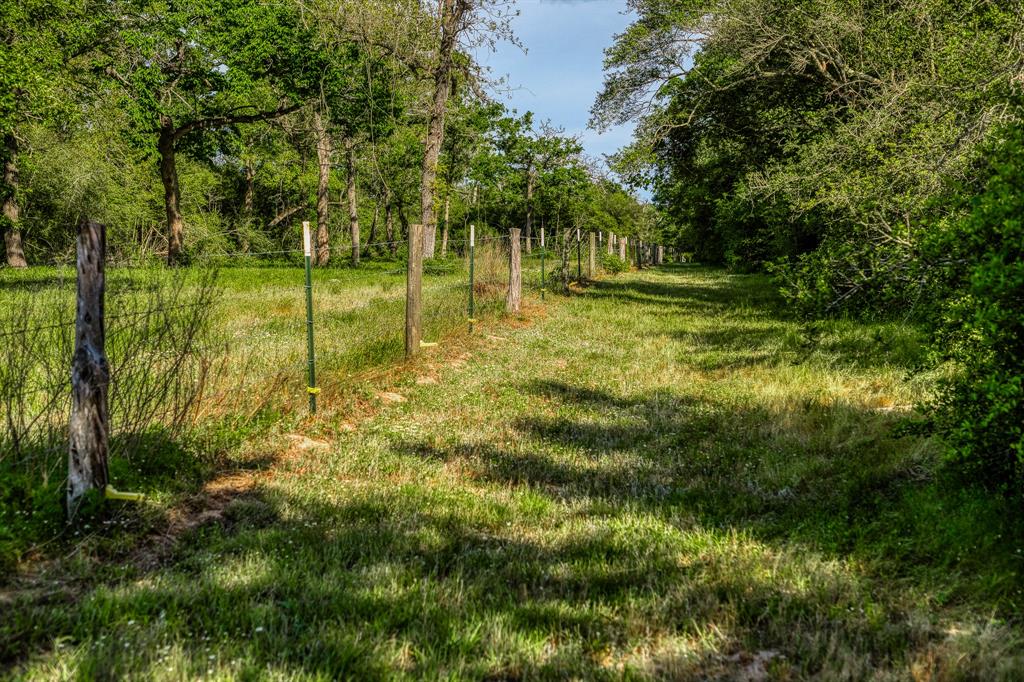16608 Hinkel Road, Cat Spring, Texas image 6