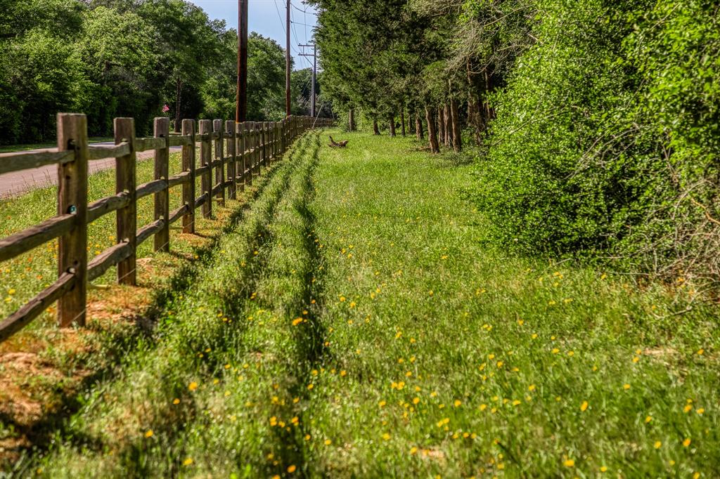 16608 Hinkel Road, Cat Spring, Texas image 5