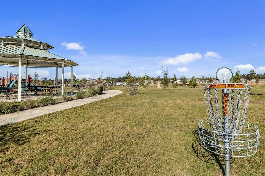 16437 Blossom Grove Drive, Conroe, Texas image 18