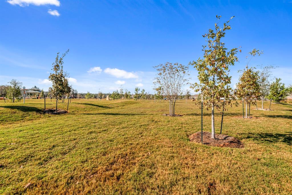 16437 Blossom Grove Drive, Conroe, Texas image 14