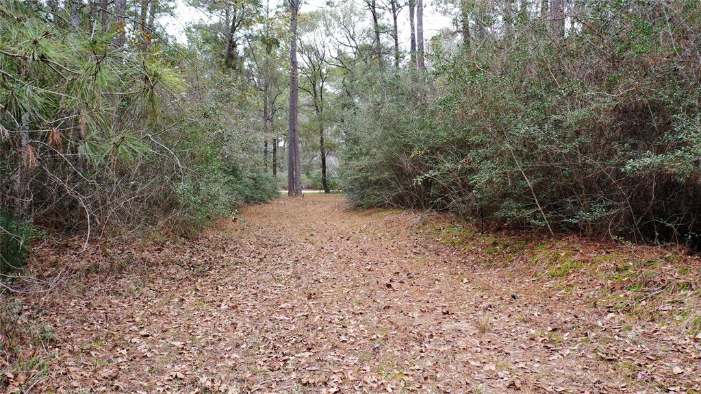 TBD Tract 2 Lone Star Road, Navasota, Texas image 3
