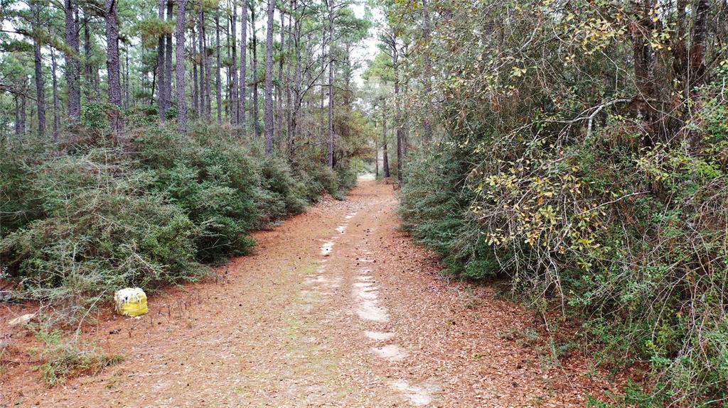 TBD Tract 2 Lone Star Road, Navasota, Texas image 4
