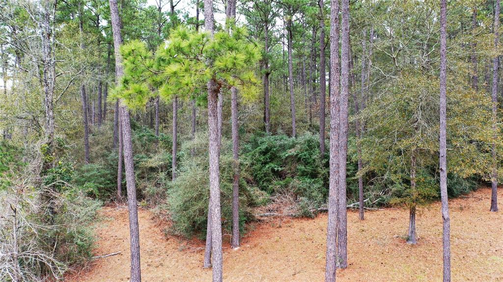 TBD Tract 2 Lone Star Road, Navasota, Texas image 6
