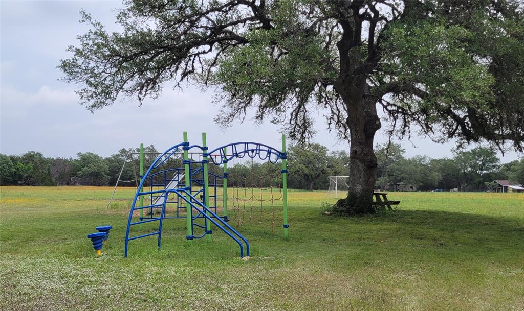 1391 Covered Wagon, Spring Branch, Texas image 7