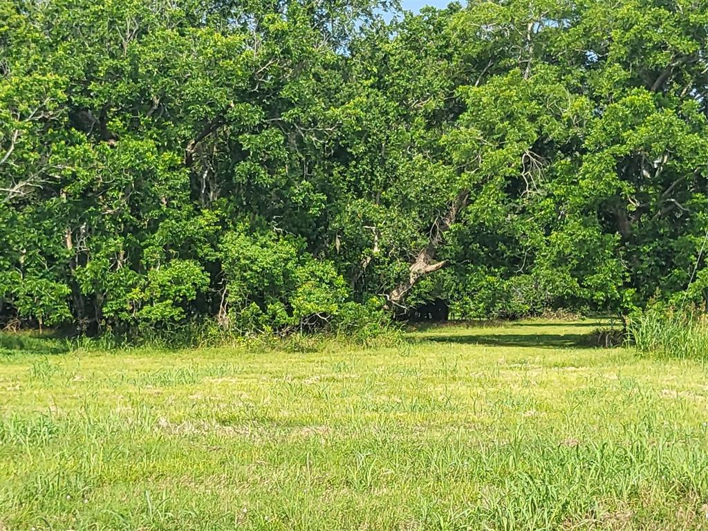 Lot 75 Conestoga Trail, Angleton, Texas image 5