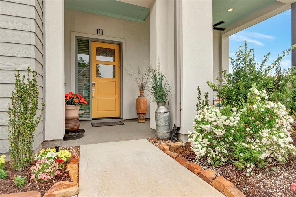 111 Dandelion Way, Montgomery, Texas image 6