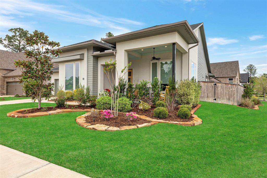 111 Dandelion Way, Montgomery, Texas image 2