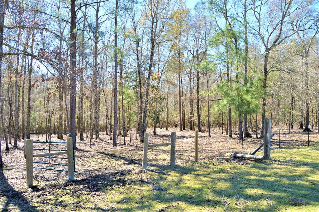 1814 Oakdale Loop, Livingston, Texas image 44