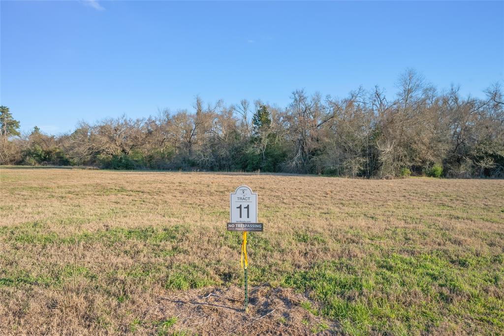 315 Dewey Lane, Franklin, Texas image 10