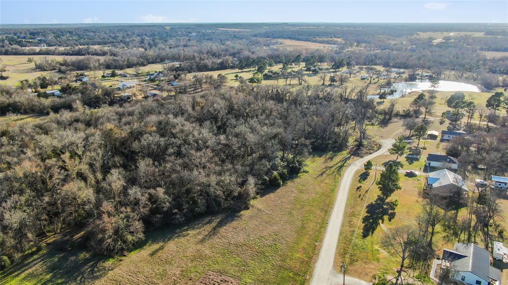 315 Dewey Lane, Franklin, Texas image 4