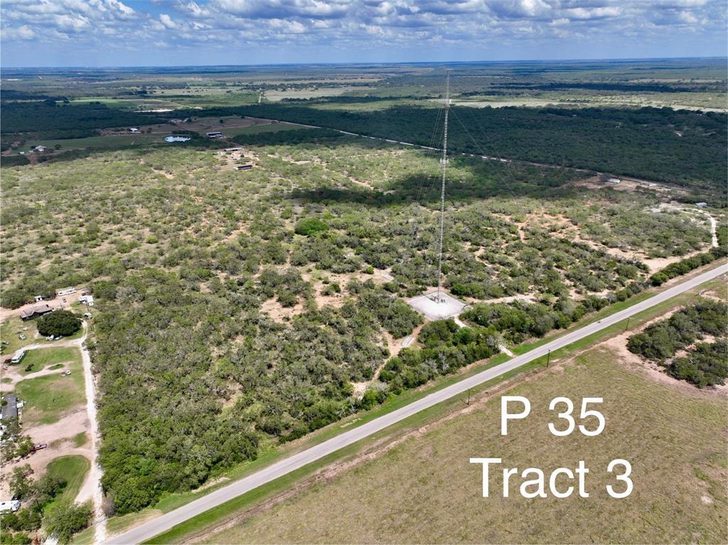 Tract 3 Leal Rd, Pleasanton, Texas image 1