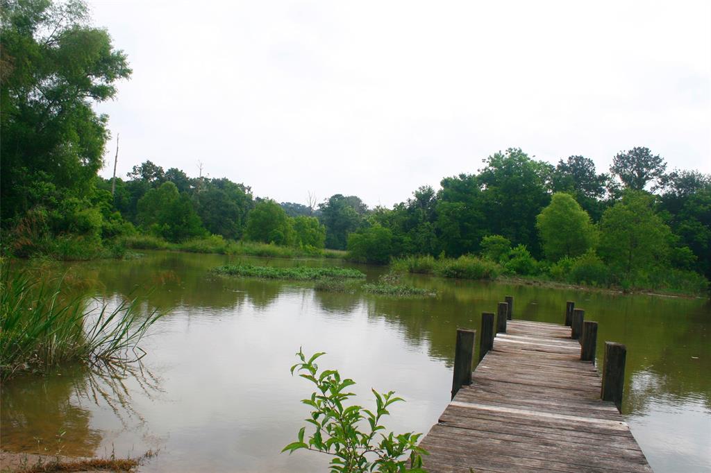 521 Hill Creek Drive, Coldspring, Texas image 30