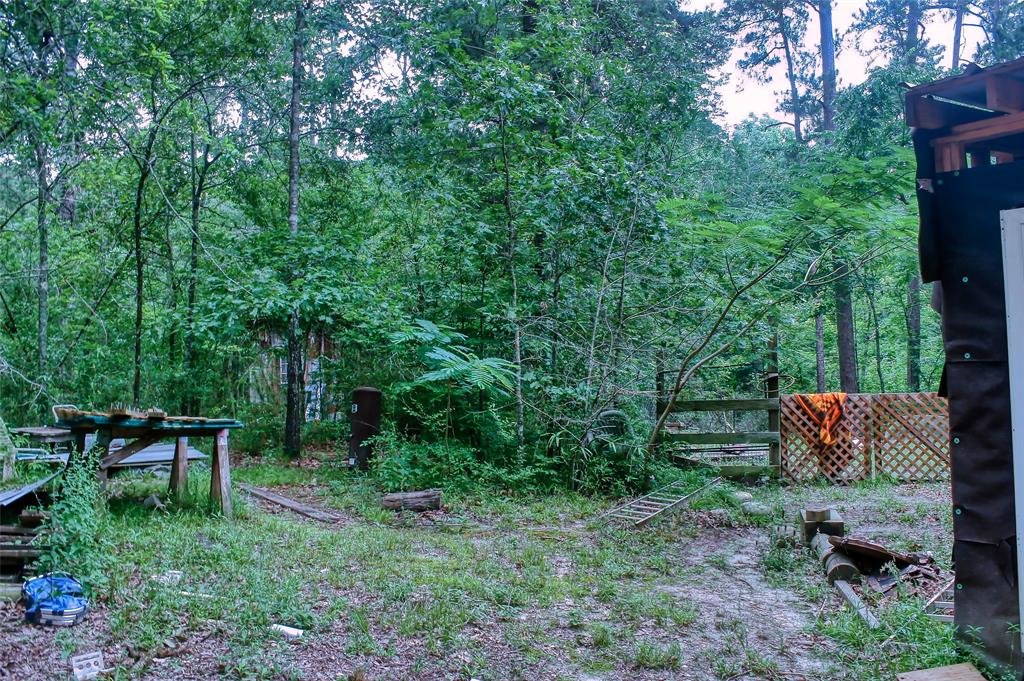 521 Hill Creek Drive, Coldspring, Texas image 7