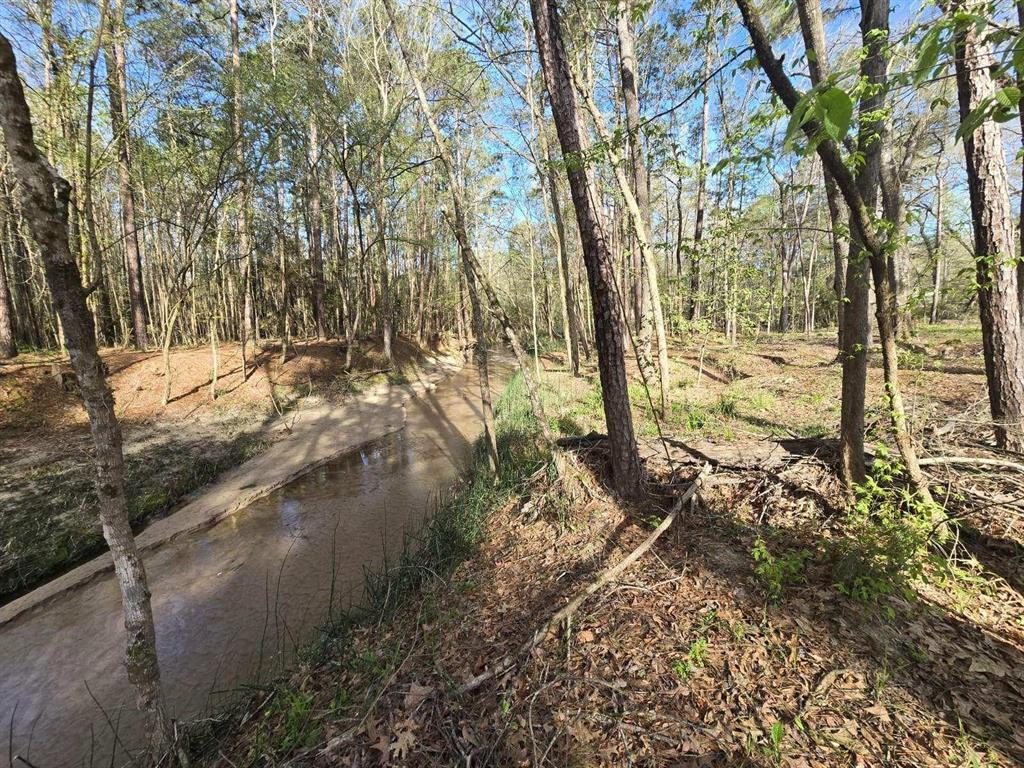 97 W Oak Tree Drive, Point Blank, Texas image 1