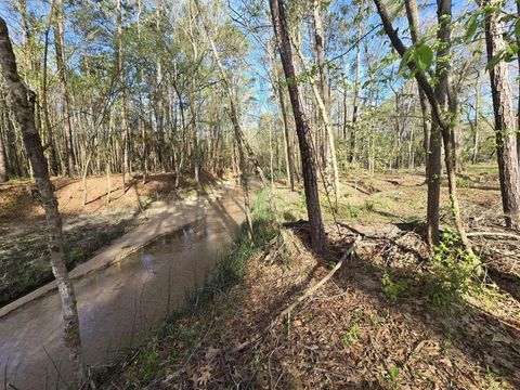 97 W Oak Tree Drive Point Blank TX 77364