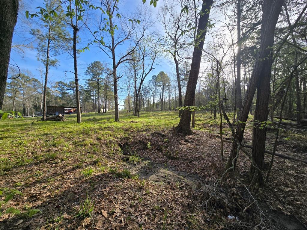 97 W Oak Tree Drive, Point Blank, Texas image 6