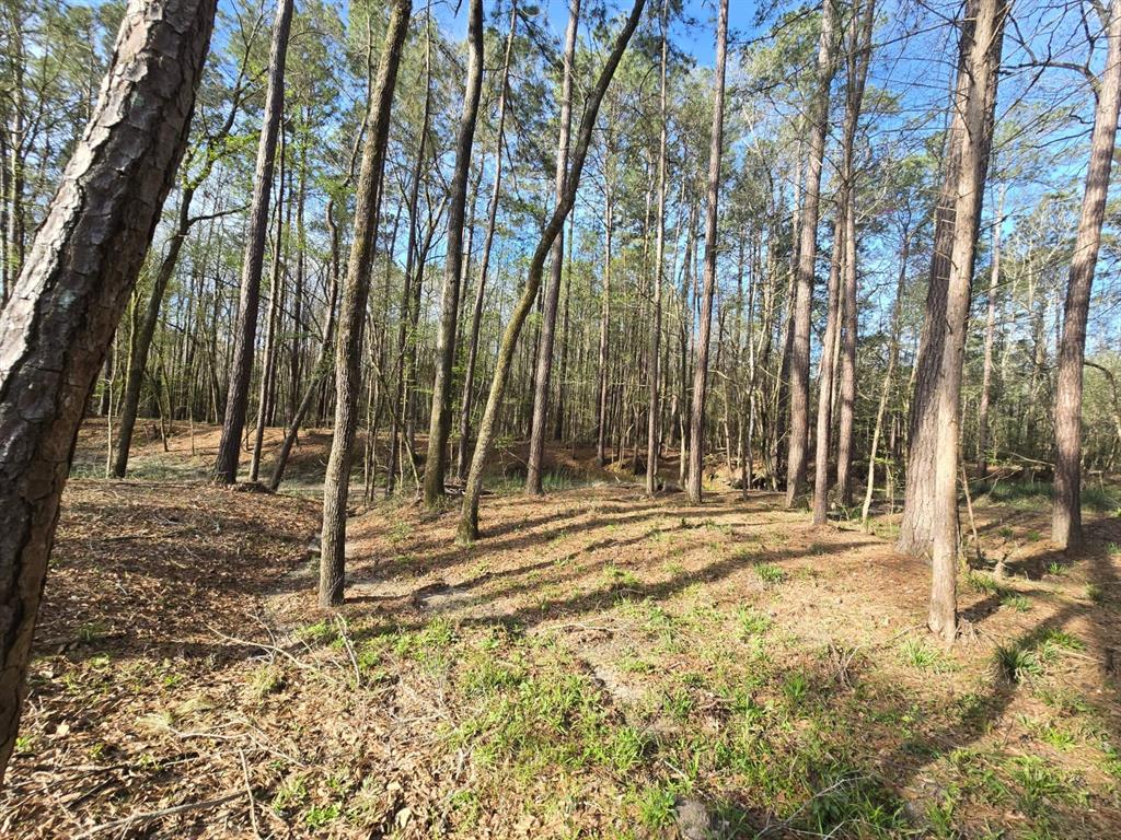 97 W Oak Tree Drive, Point Blank, Texas image 4