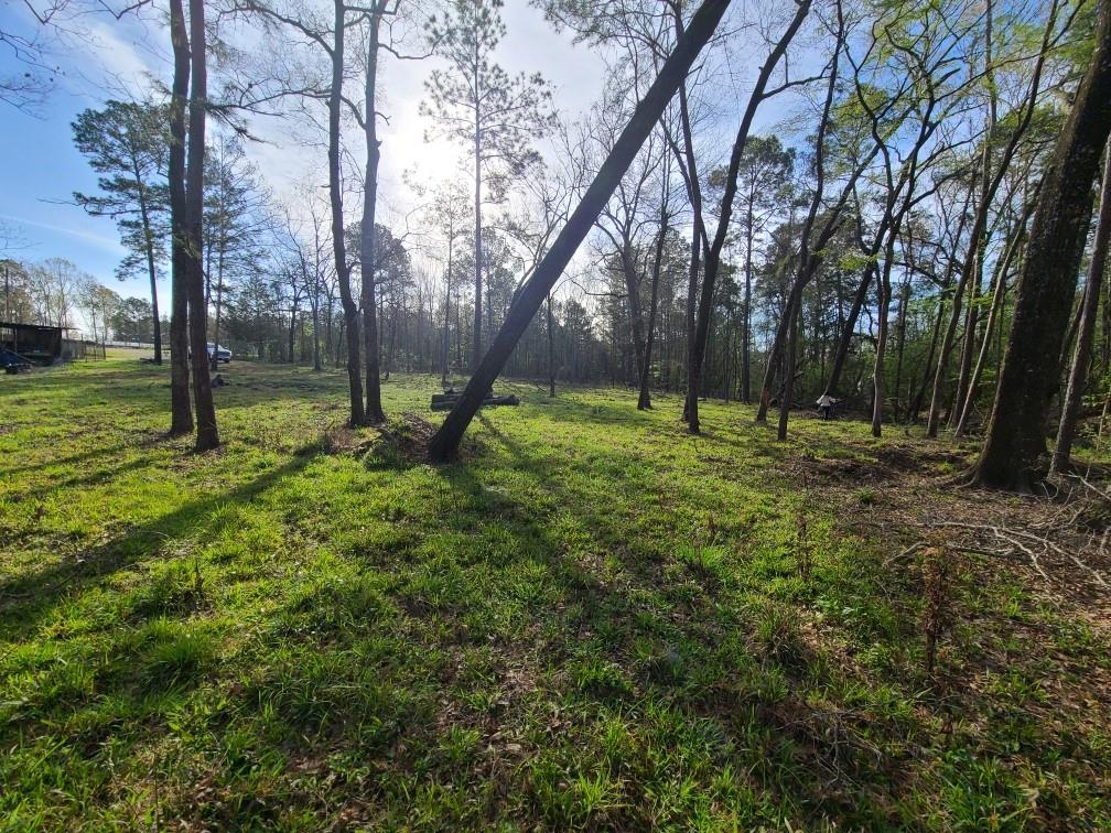 97 W Oak Tree Drive, Point Blank, Texas image 3