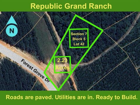 15464 Forest Grove Drive Willis TX 77378