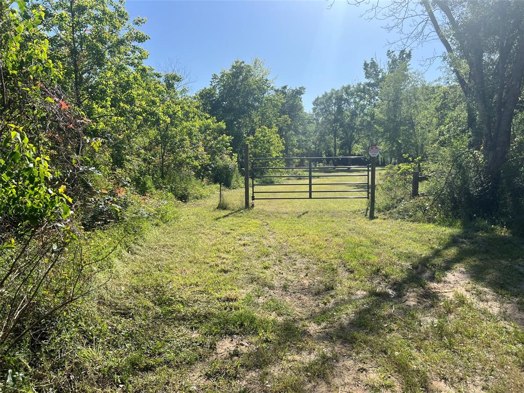 215 Garden West Road, Conroe, Texas image 15