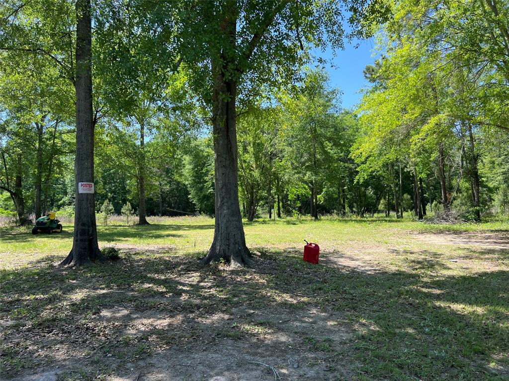 215 Garden West Road, Conroe, Texas image 19