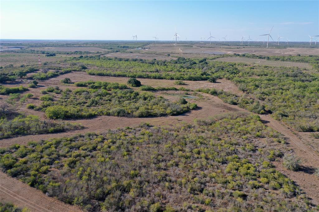 Lot 6 TBD County Rd 124, Beeville, Texas image 5