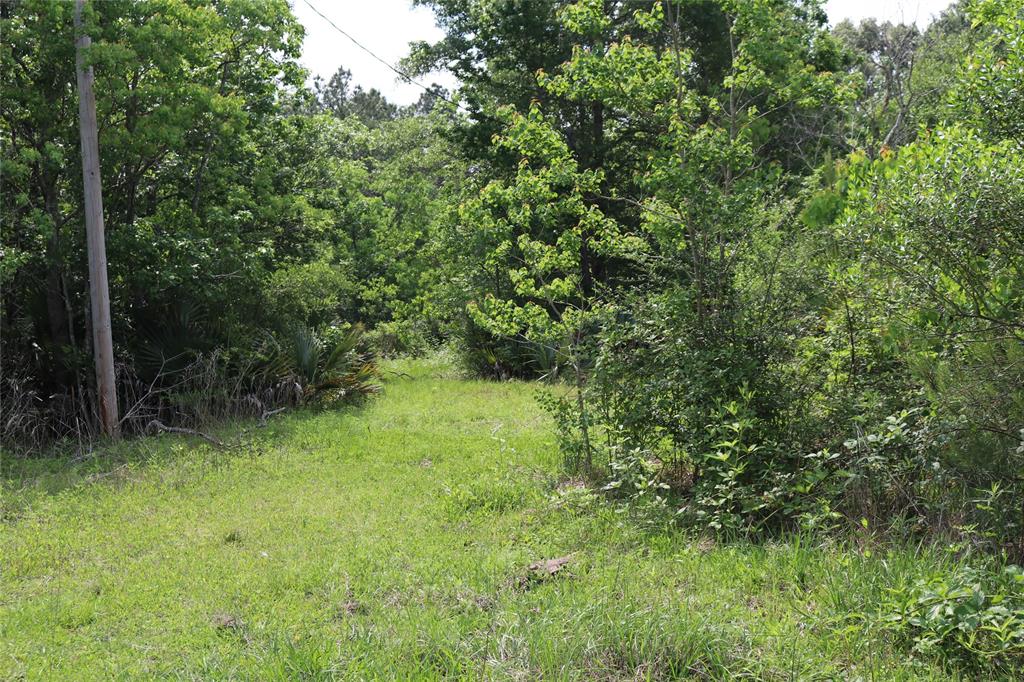 Melanie Street, Crosby, Texas image 3