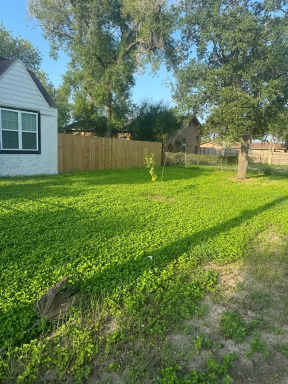 409 W Buchanan Avenue, Harlingen, Texas image 20