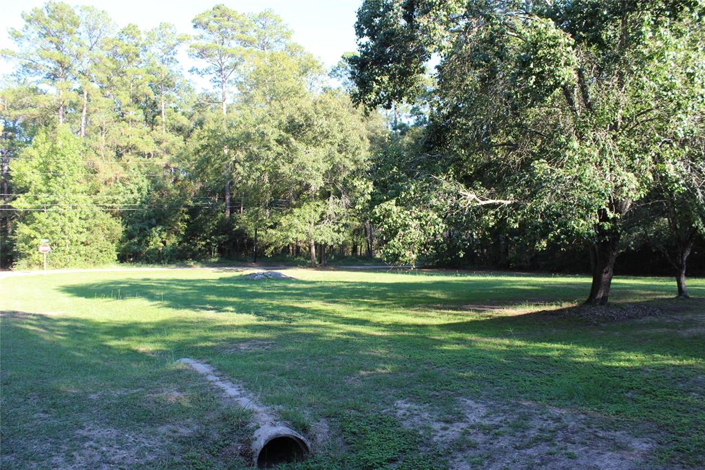 000 Evergreen Lane, Montgomery, Texas image 4