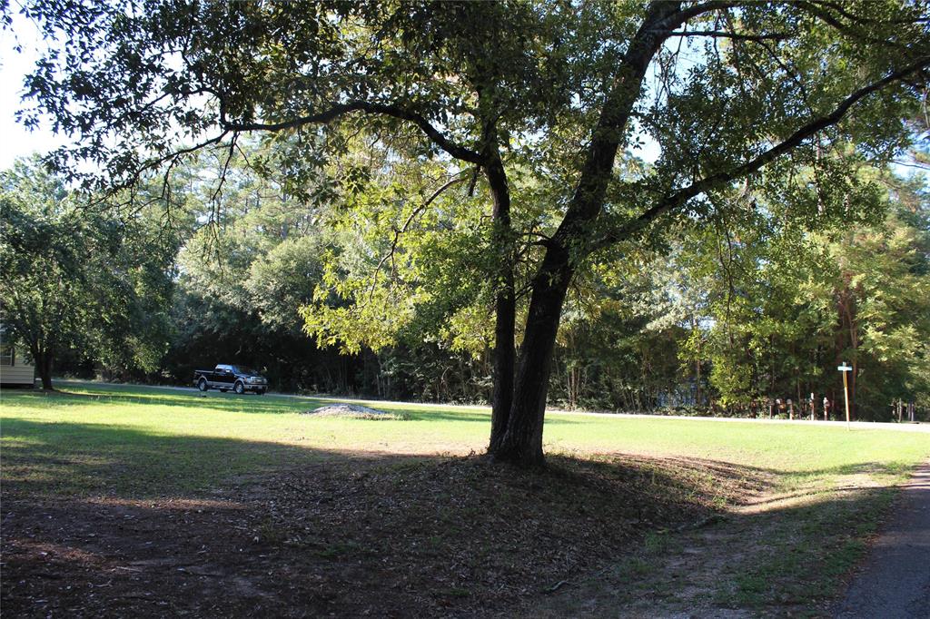 000 Evergreen Lane, Montgomery, Texas image 5