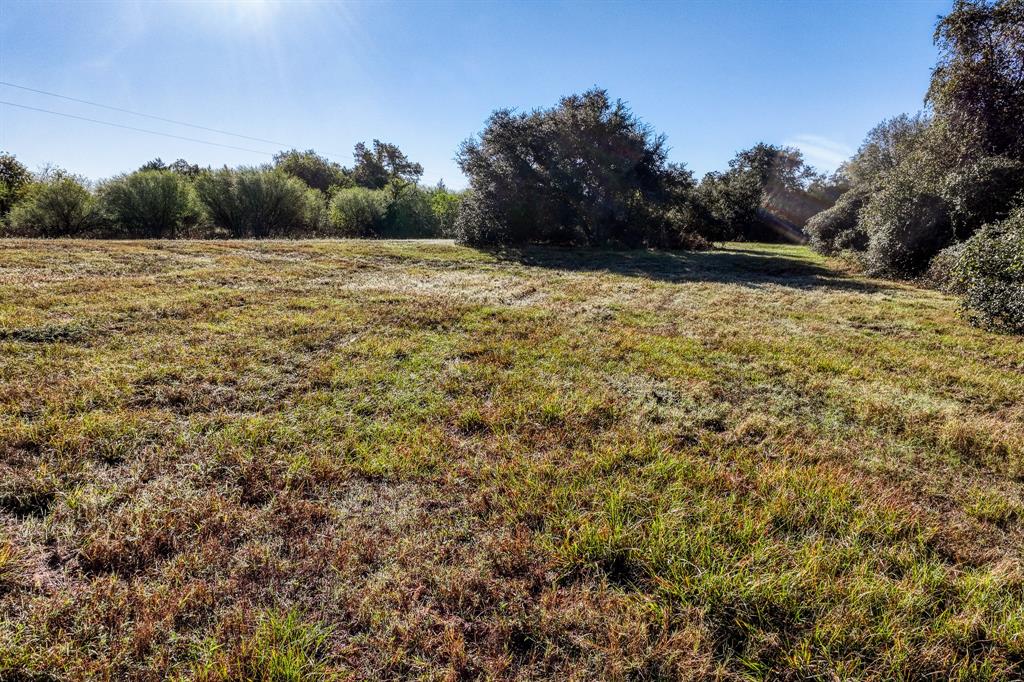 10702 Palestine Road, Brenham, Texas image 3