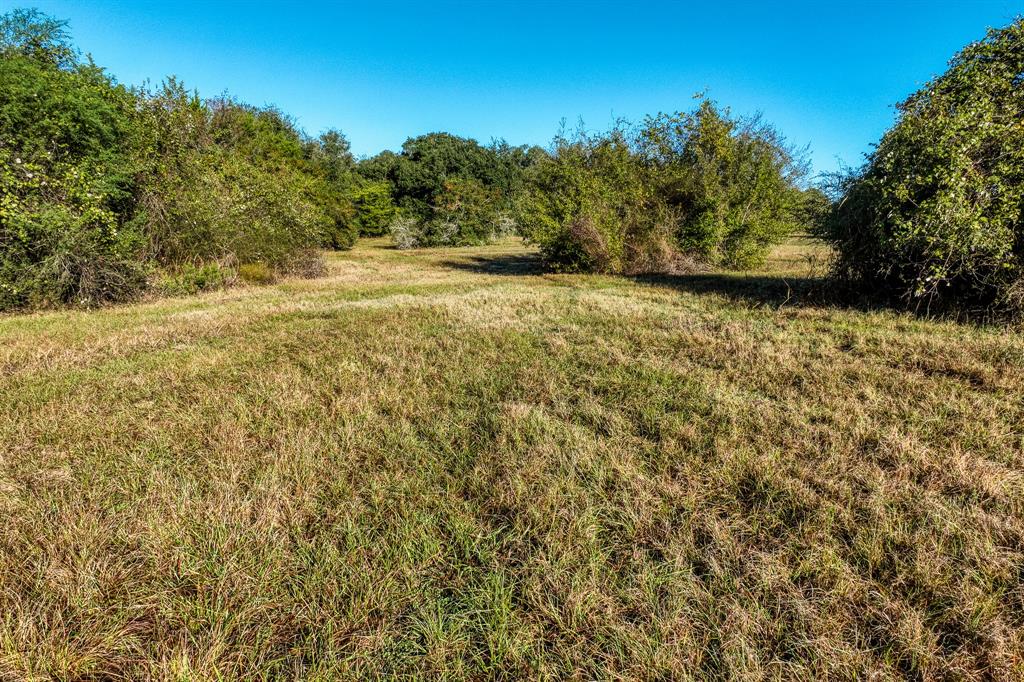 10702 Palestine Road, Brenham, Texas image 12