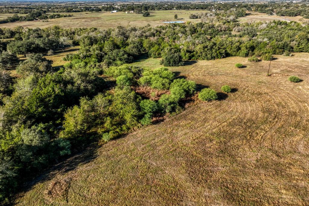 10702 Palestine Road, Brenham, Texas image 15