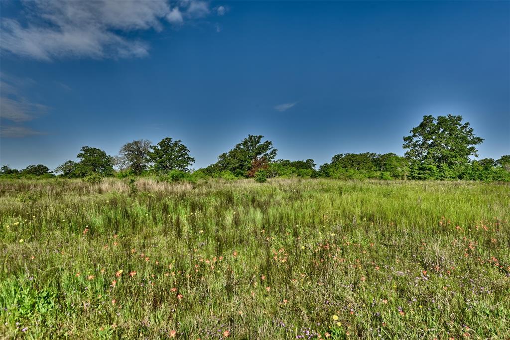 7237 County Road 170, Caldwell, Texas image 30