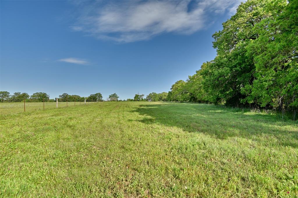 7237 County Road 170, Caldwell, Texas image 31