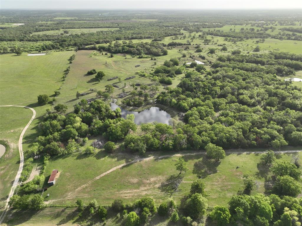 7237 County Road 170, Caldwell, Texas image 4