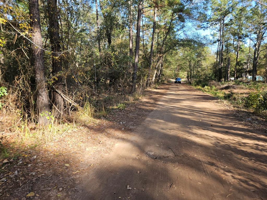 0003 Pinecone Lane, Plantersville, Texas image 1