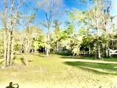 13893 Park Ave Ave, Conroe, Texas image 3
